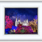 Washington DC Temple Christmas Lights