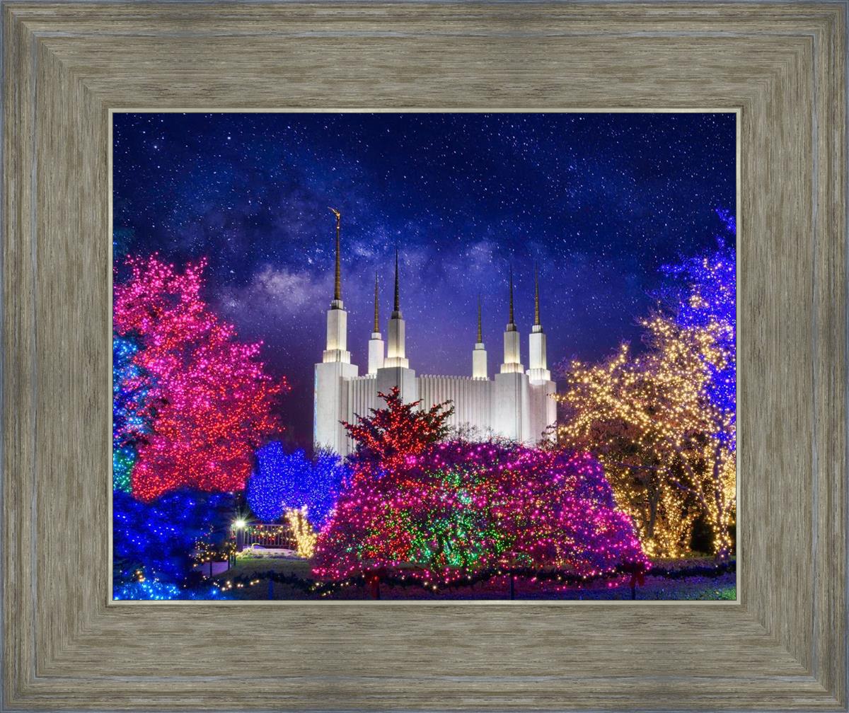 Washington DC Temple Christmas Lights