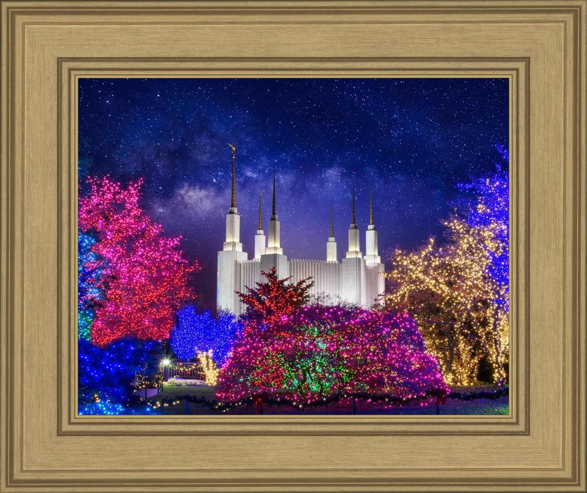 Washington DC Temple Christmas Lights