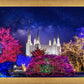 Washington DC Temple Christmas Lights