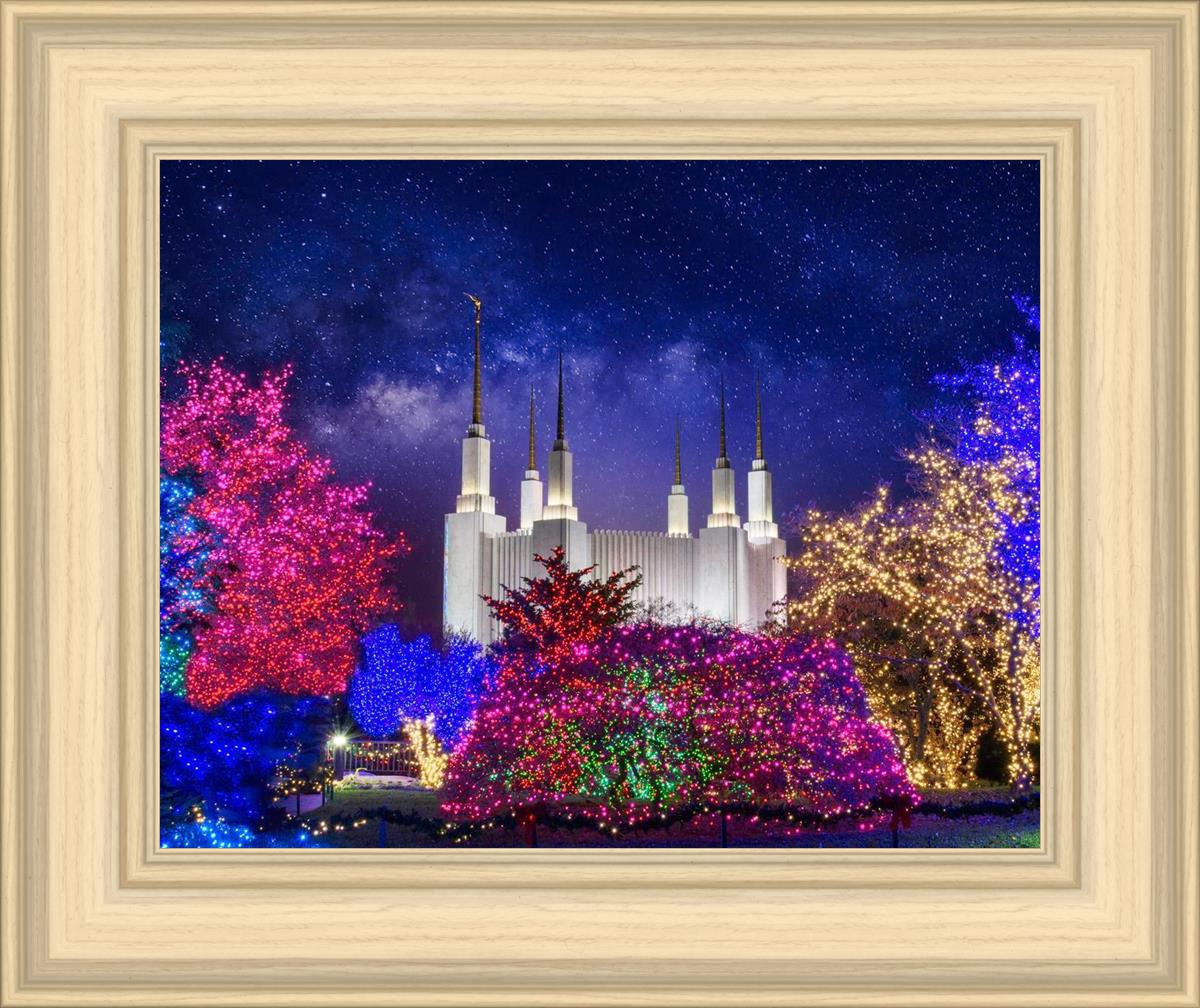Washington DC Temple Christmas Lights