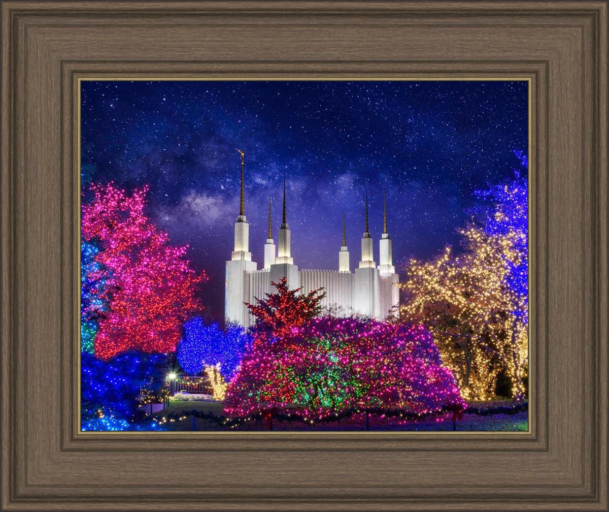 Washington DC Temple Christmas Lights