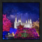 Washington DC Temple Christmas Lights