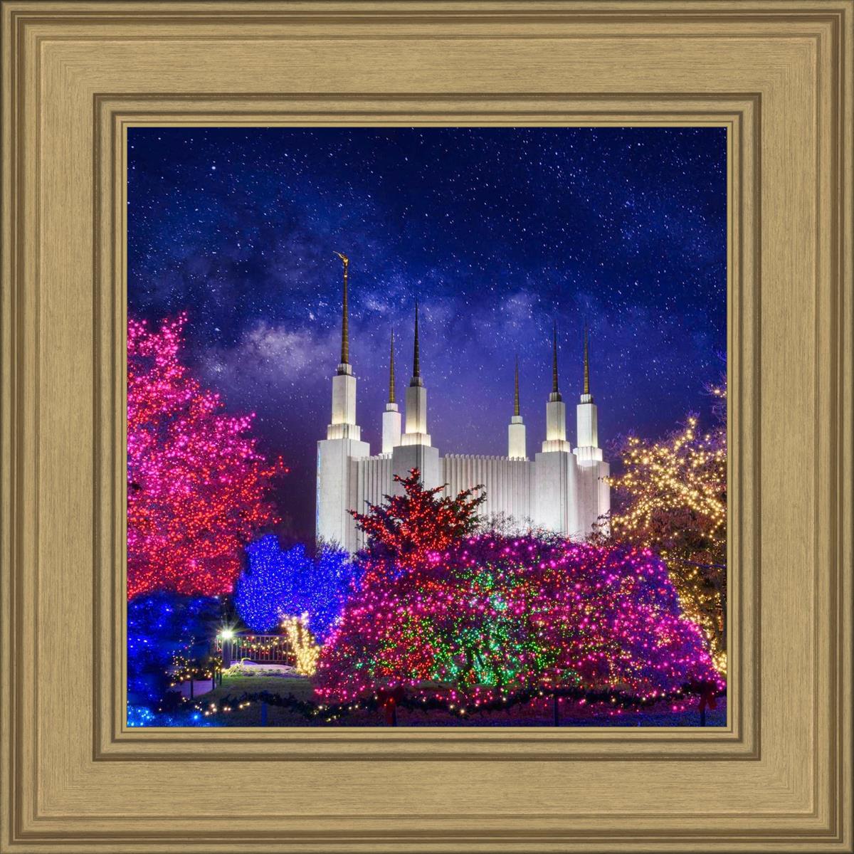 Washington DC Temple Christmas Lights