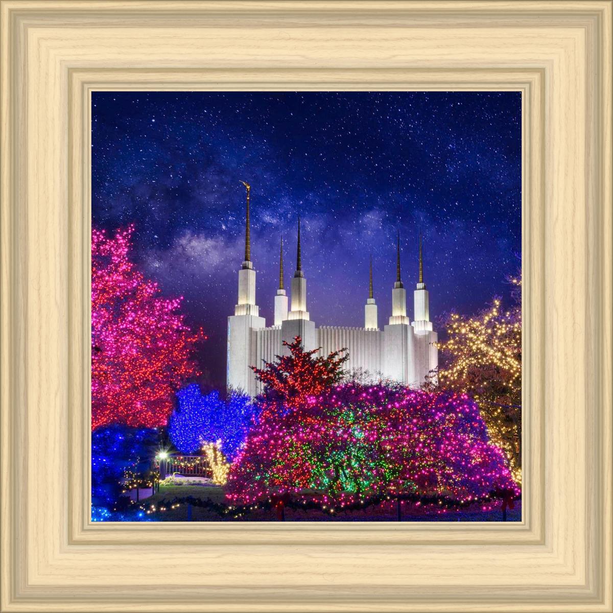 Washington DC Temple Christmas Lights