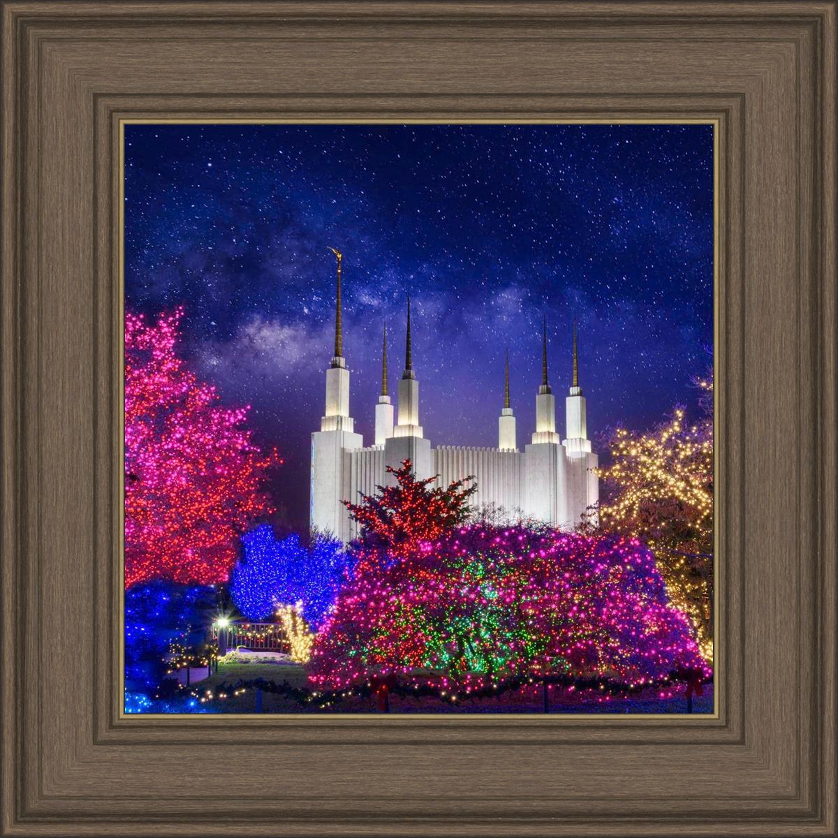 Washington DC Temple Christmas Lights