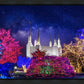 Washington DC Temple Christmas Lights