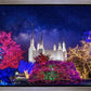 Washington DC Temple Christmas Lights