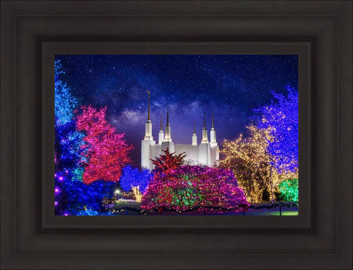 Washington DC Temple Christmas Lights