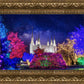 Washington DC Temple Christmas Lights
