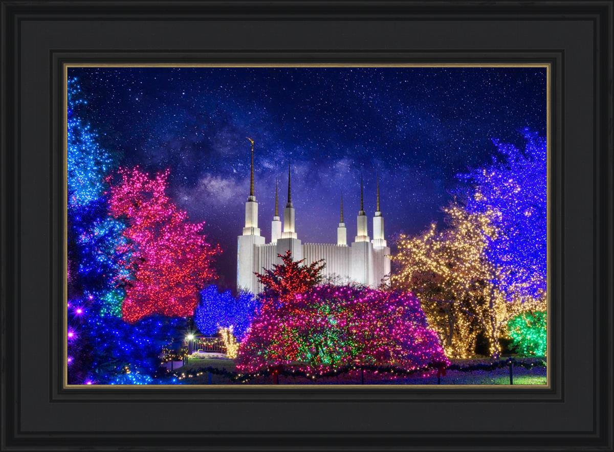 Washington DC Temple Christmas Lights