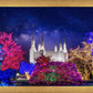 Washington DC Temple Christmas Lights