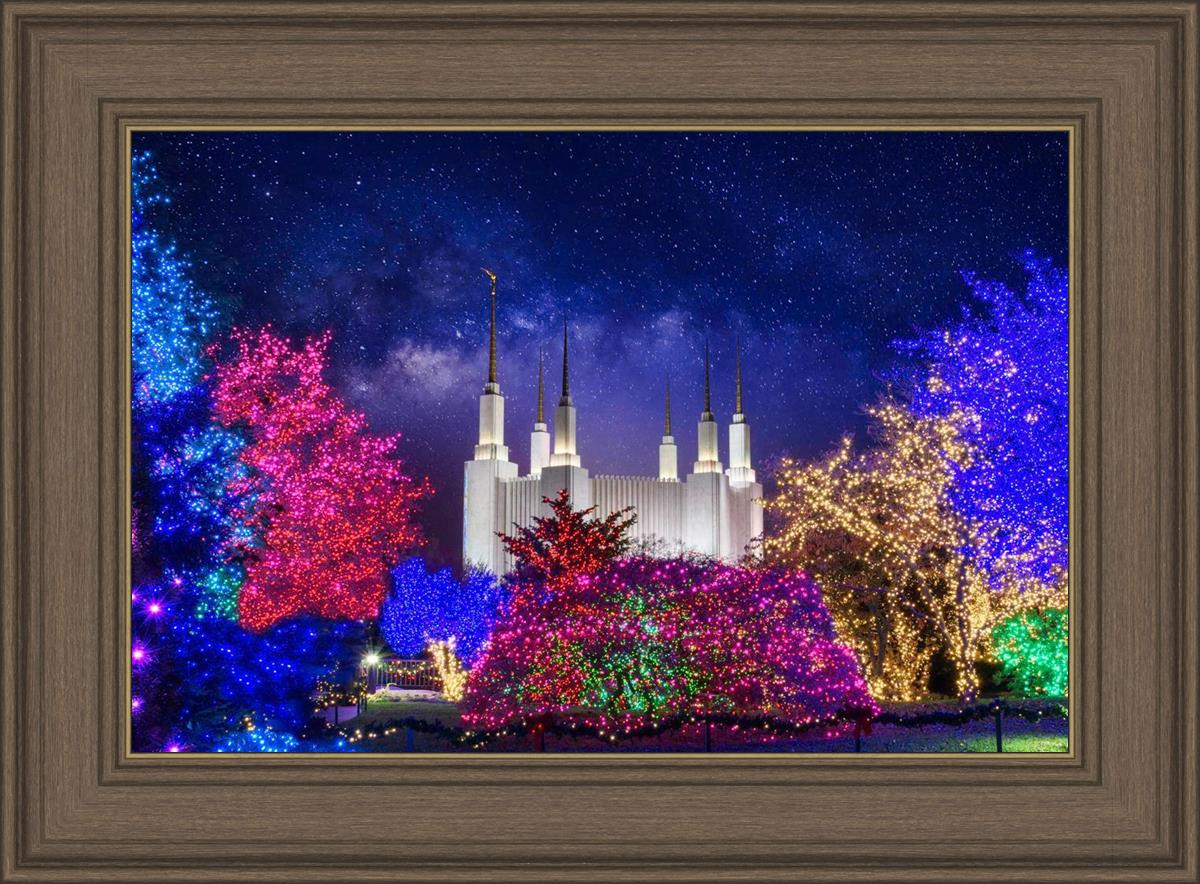 Washington DC Temple Christmas Lights