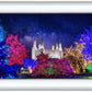 Washington DC Temple Christmas Lights