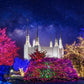Washington DC Temple Christmas Lights