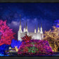 Washington DC Temple Christmas Lights