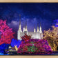 Washington DC Temple Christmas Lights