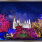 Washington DC Temple Christmas Lights