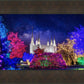 Washington DC Temple Christmas Lights