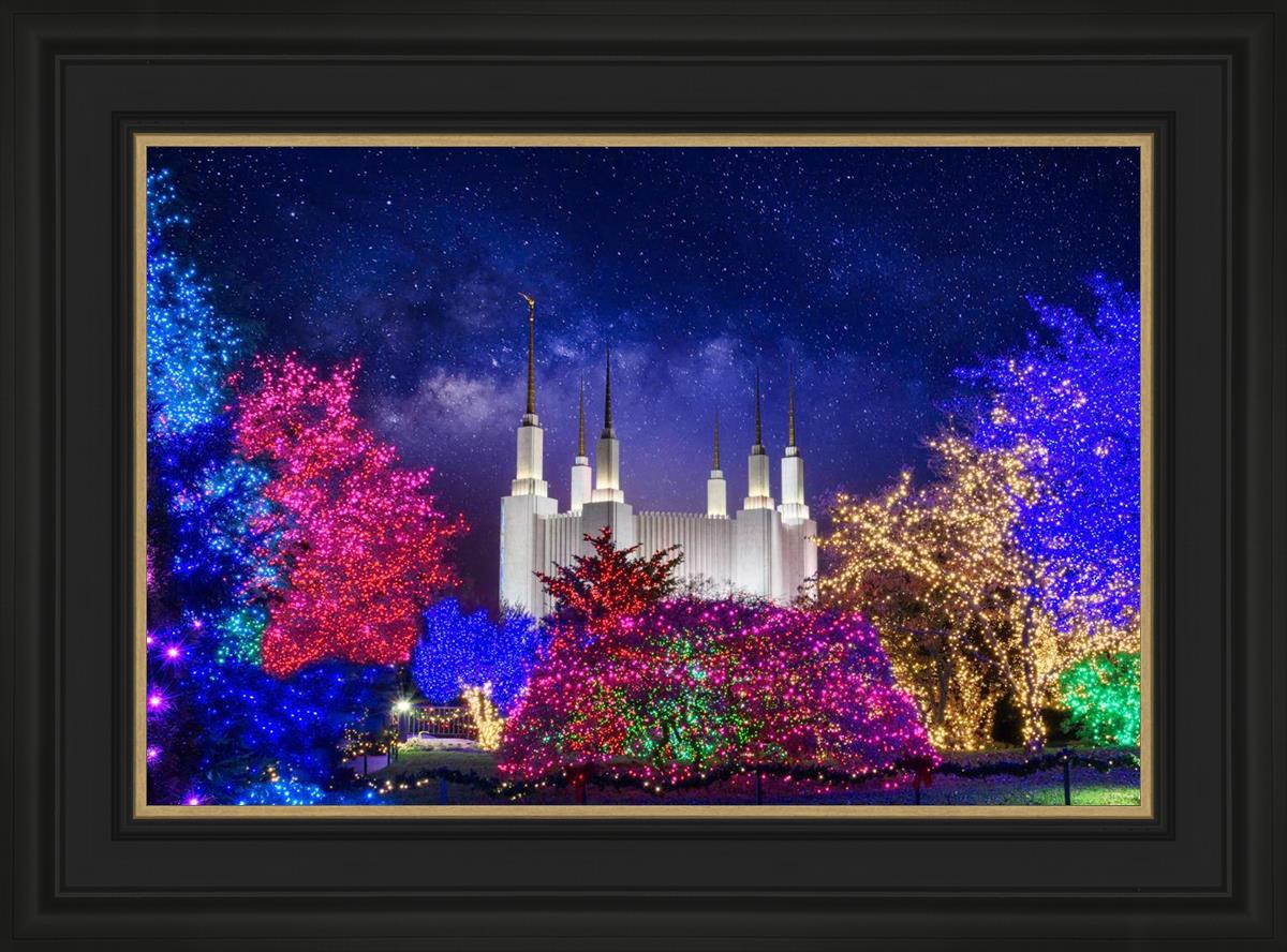 Washington DC Temple Christmas Lights