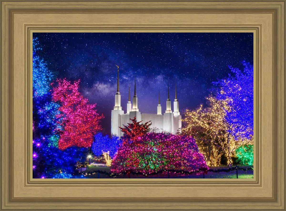 Washington DC Temple Christmas Lights
