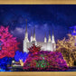 Washington DC Temple Christmas Lights