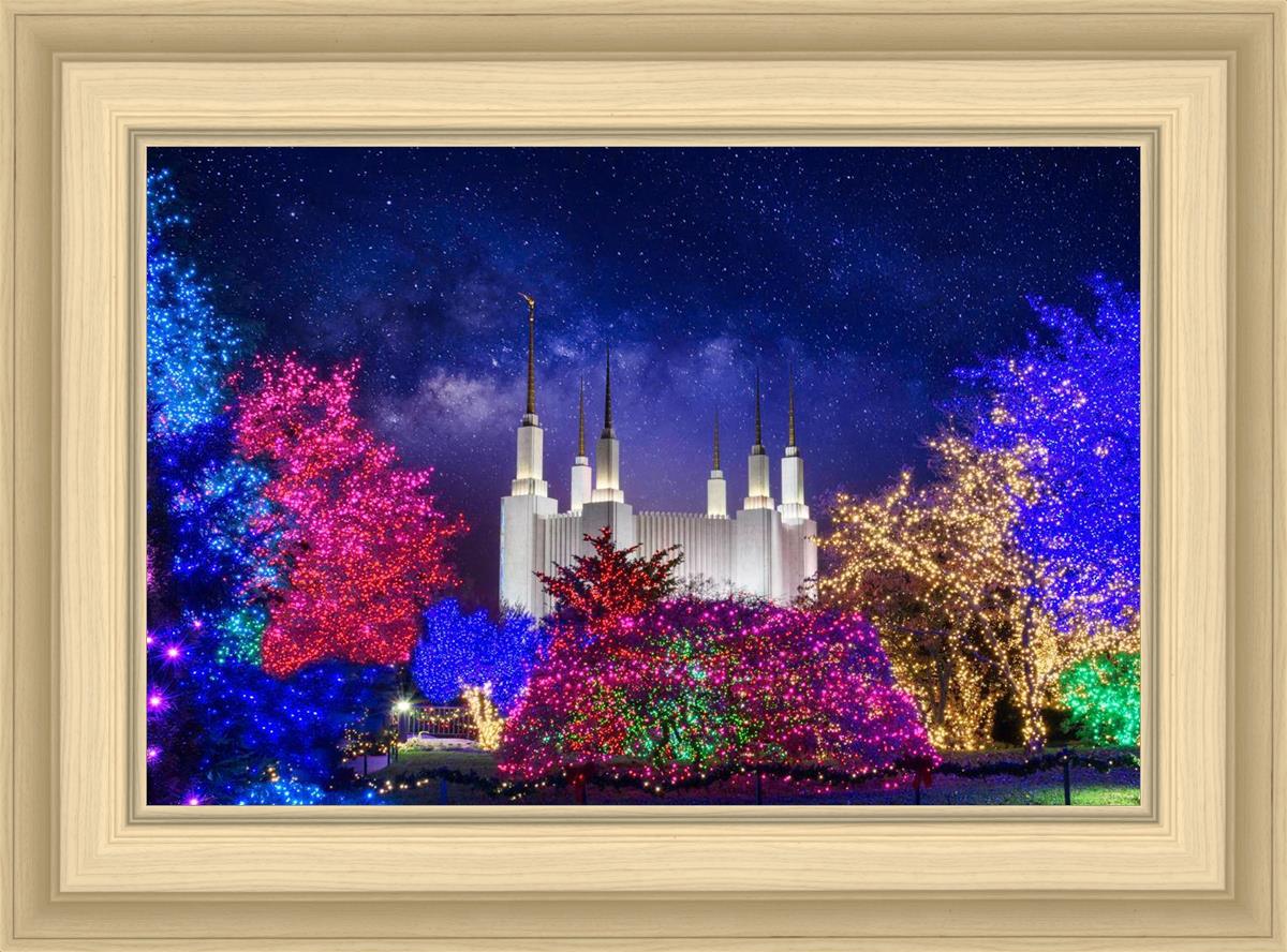 Washington DC Temple Christmas Lights