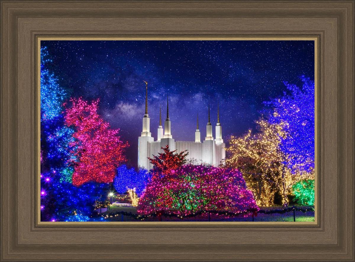 Washington DC Temple Christmas Lights