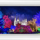 Washington DC Temple Christmas Lights