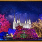 Washington DC Temple Christmas Lights