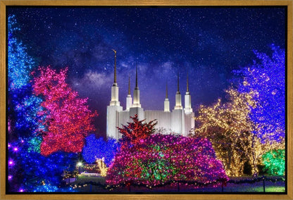 Washington DC Temple Christmas Lights