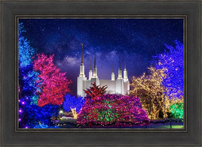 Washington DC Temple Christmas Lights