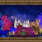 Washington DC Temple Christmas Lights