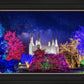 Washington DC Temple Christmas Lights