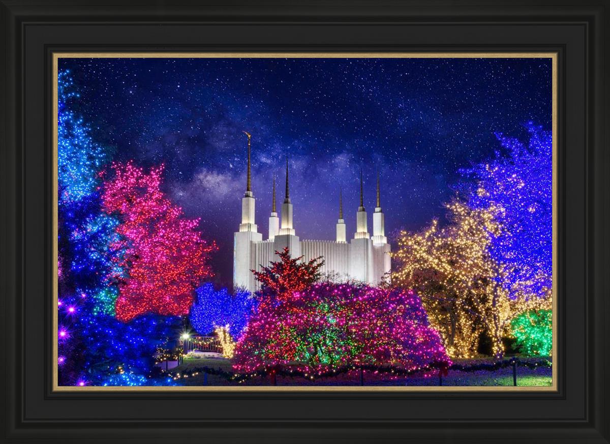 Washington DC Temple Christmas Lights