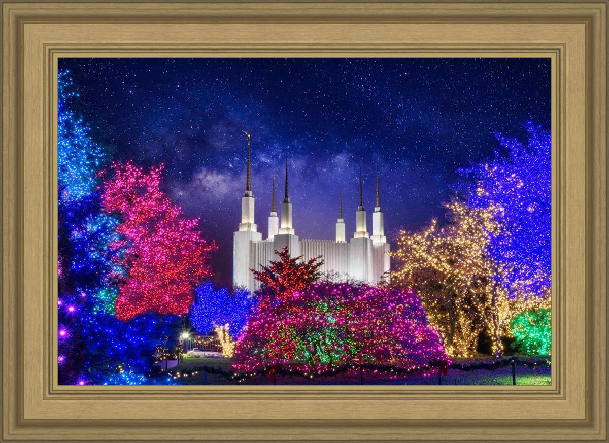 Washington DC Temple Christmas Lights