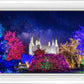 Washington DC Temple Christmas Lights