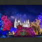 Washington DC Temple Christmas Lights
