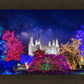 Washington DC Temple Christmas Lights