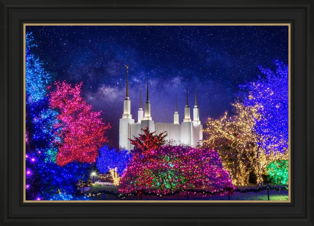Washington DC Temple Christmas Lights