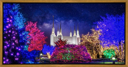 Washington DC Temple Christmas Lights