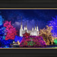 Washington DC Temple Christmas Lights