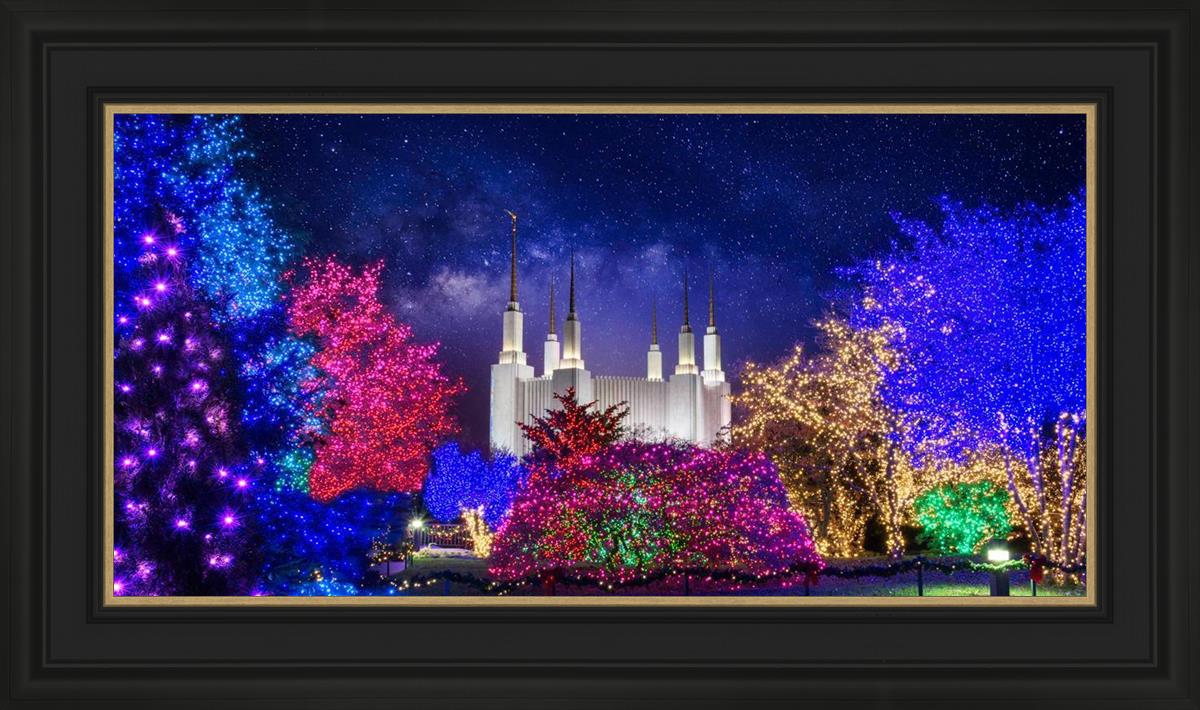 Washington DC Temple Christmas Lights