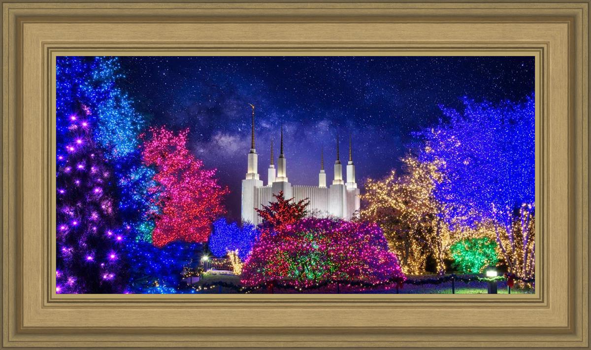 Washington DC Temple Christmas Lights