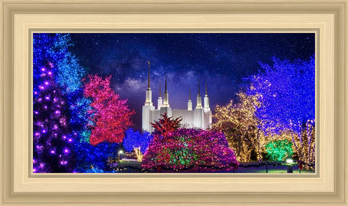 Washington DC Temple Christmas Lights