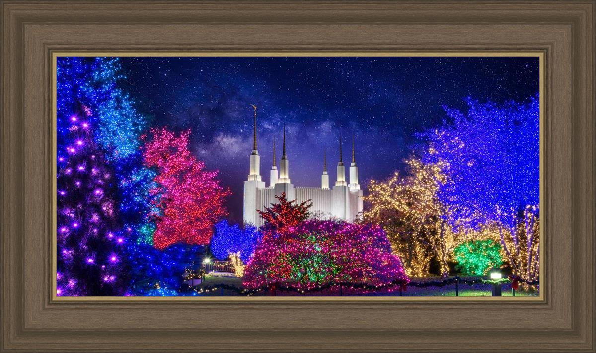 Washington DC Temple Christmas Lights