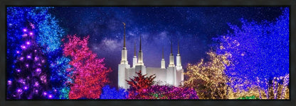 Washington DC Temple Christmas Lights
