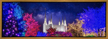 Washington DC Temple Christmas Lights