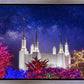 Washington DC Temple Christmas Lights