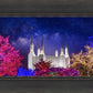 Washington DC Temple Christmas Lights